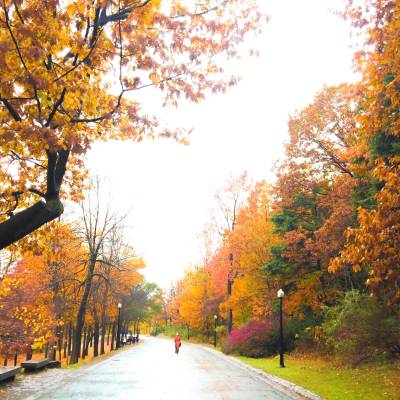 Parc du Mont Royal