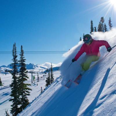 Whistler