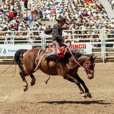 Calgary Stampede in Calgary Alberta