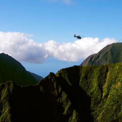 Hana Rainforest Experience