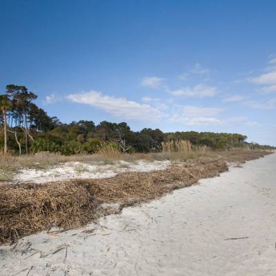 Daufuskie Island