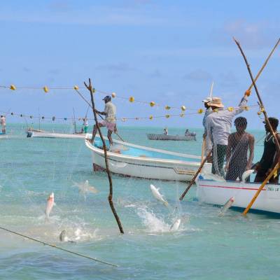Local Fishermen