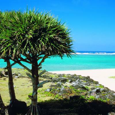 Island View