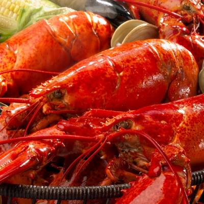 a lobster on a table