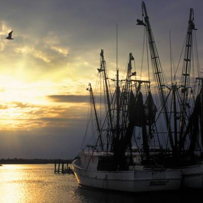 Shrimpboats in the Outer Banks