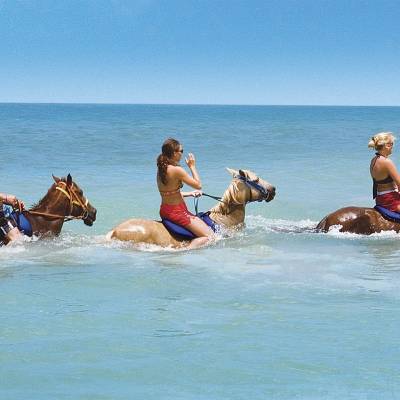 Horse Riding