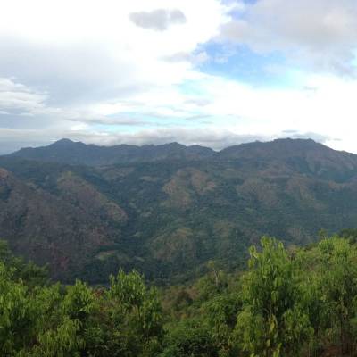 View from the trainline