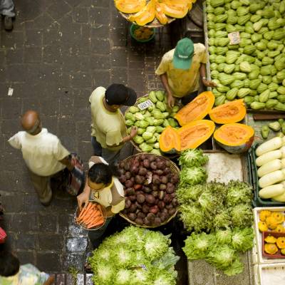 a bunch of different types of vegetables