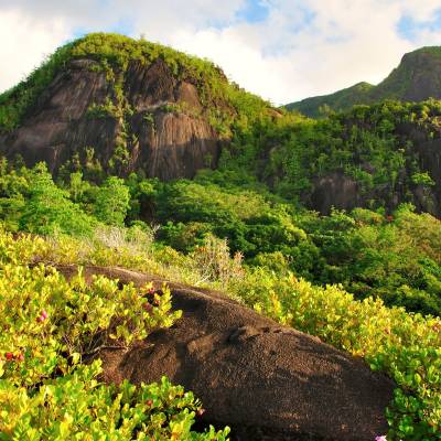 Mountains on Anse Major Trail