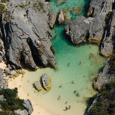Beach at Jobsons Cove