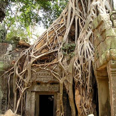 Angkor Wat