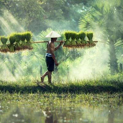 Cambodia