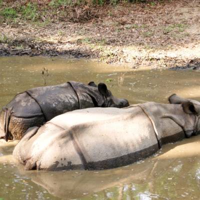 Chitwan National Park