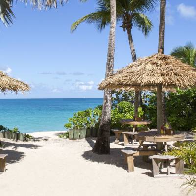 a group of lawn chairs sitting next to a palm tree on a beach