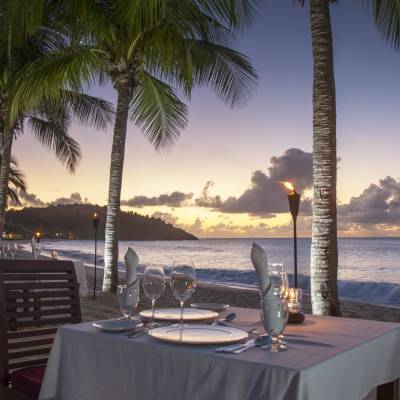 a palm tree on a table next to a body of water