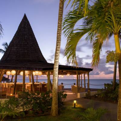 a group of palm trees next to a tree