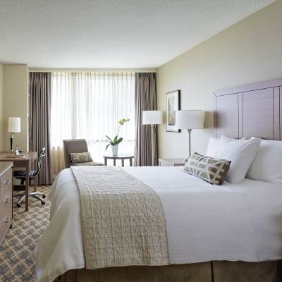a bedroom with a large bed in a hotel room