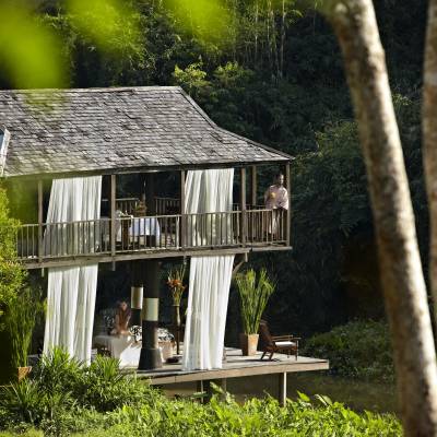 a tree in front of a house