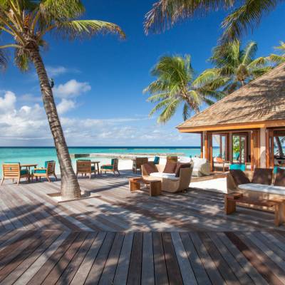 a wooden bench next to a palm tree