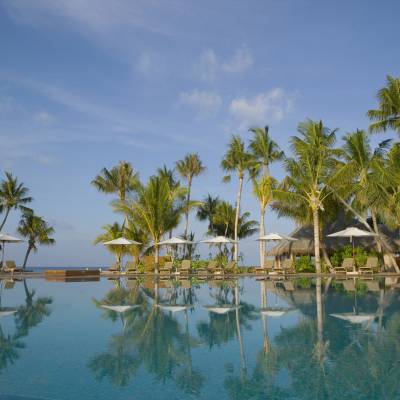 a group of palm trees next to a body of water
