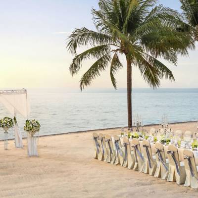 a beach with a palm tree in front of a body of water