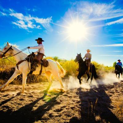 Horseback Riding