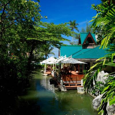 a group of palm trees on the side of a river