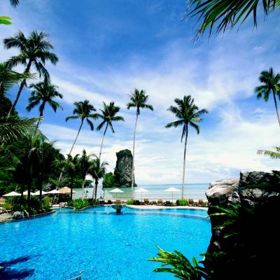 a pool next to a body of water surrounded by palm trees