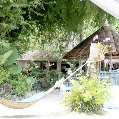 a person in a garden