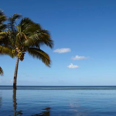 Infinity Pool