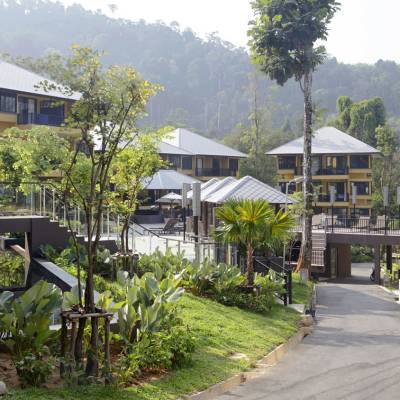 a group of palm trees with a building in the background