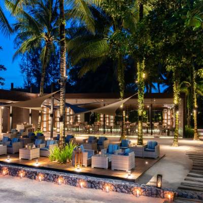 a close up of a tree lined street
