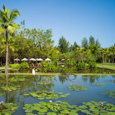 a body of water surrounded by palm trees