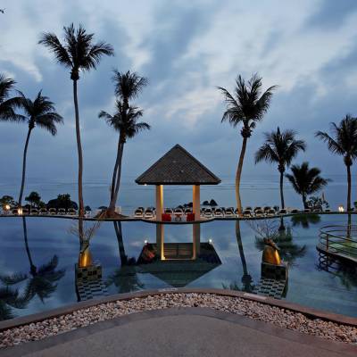a group of palm trees next to a body of water