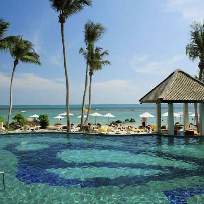 a group of palm trees next to a body of water