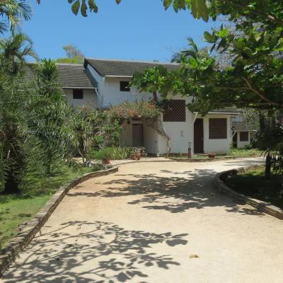 a tree in front of a house
