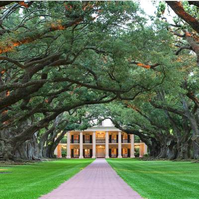Oak Alley Plantation