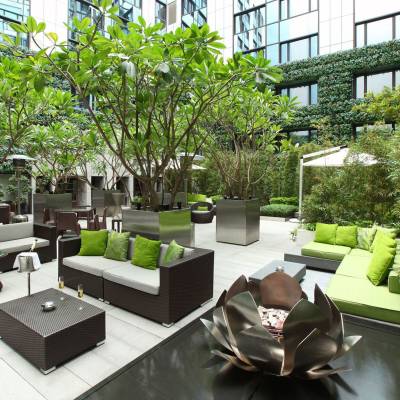 a table topped with lots of green plants