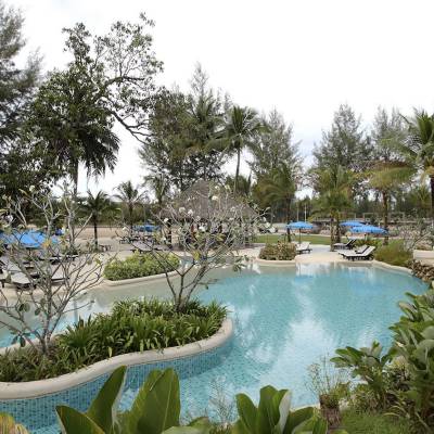 a pool next to a palm tree