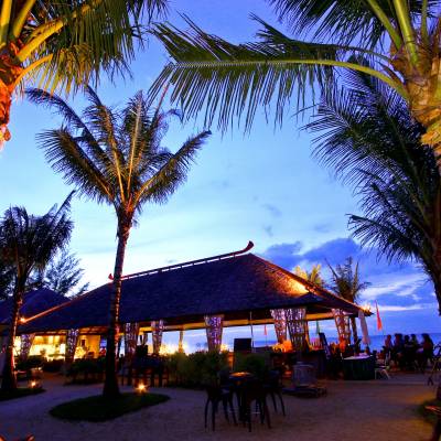 a group of palm trees next to a tree