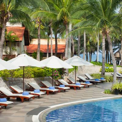 a group of palm trees next to a pool