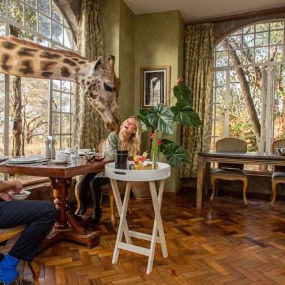 a man sitting at a table looking at a giraffe