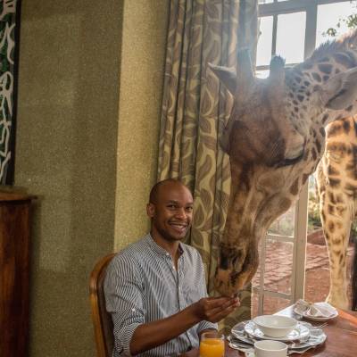 a person standing in front of a giraffe