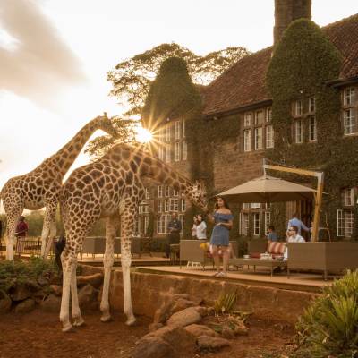 a giraffe standing in front of a building