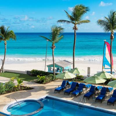 a group of palm trees next to a pool of water