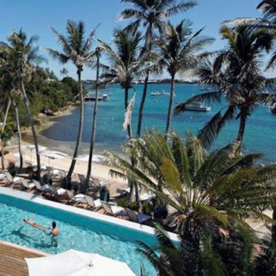 a group of palm trees next to a pool of water