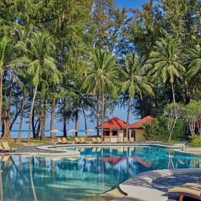 a group of palm trees next to a body of water
