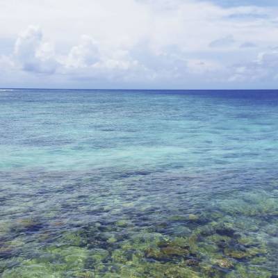 Ocean view