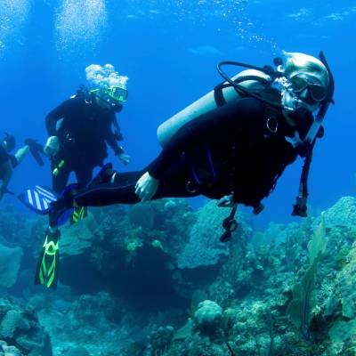 Diving