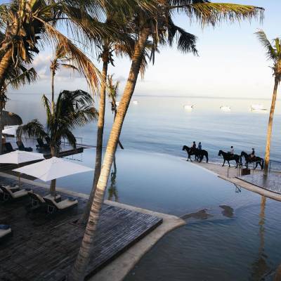 a group of palm trees next to a body of water